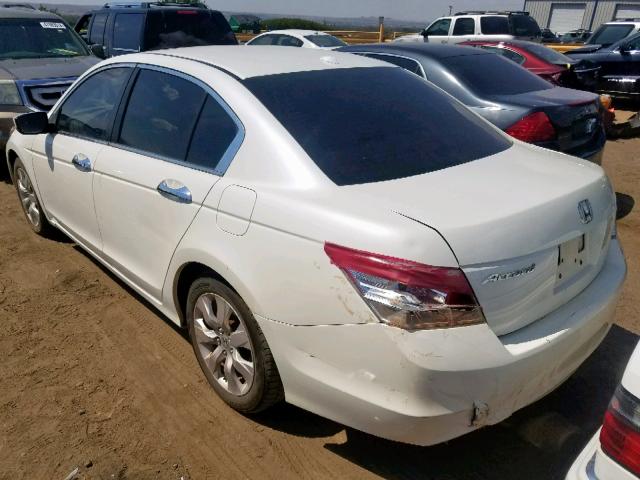 1HGCP36838A026090 - 2008 HONDA ACCORD EXL WHITE photo 3