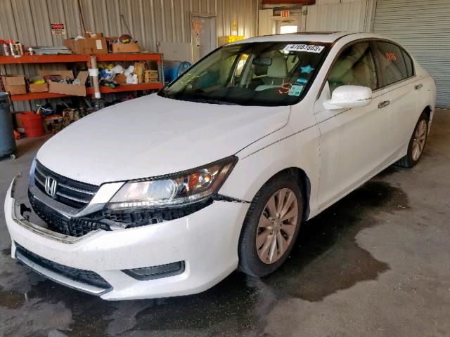 1HGCR2F85FA048139 - 2015 HONDA ACCORD EXL WHITE photo 2