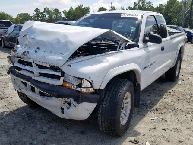 1B7GG22N71S347345 - 2001 DODGE DAKOTA WHITE photo 2