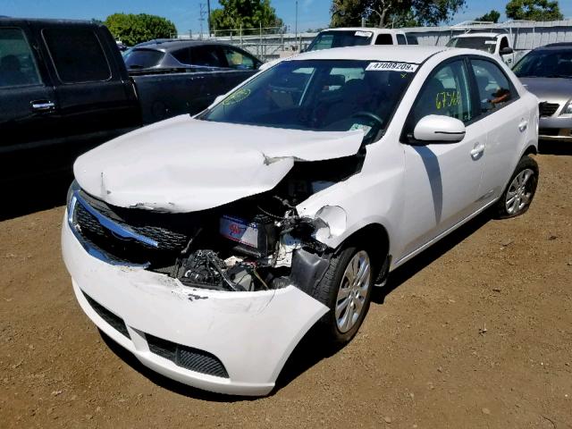 KNAFU4A24C5642652 - 2012 KIA FORTE EX WHITE photo 2