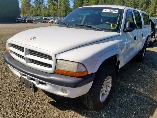 1B7HG2AN91S177494 - 2001 DODGE DAKOTA QUA WHITE photo 2