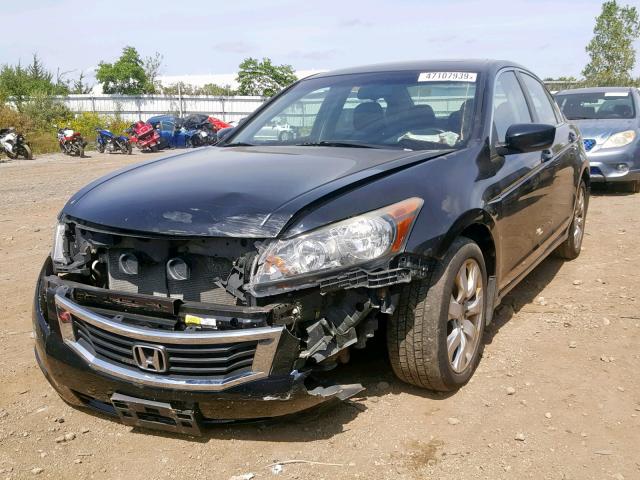 1HGCP26838A092679 - 2008 HONDA ACCORD EXL BLACK photo 2