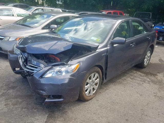 4T1BB46K69U088220 - 2009 TOYOTA CAMRY HYBR GRAY photo 2