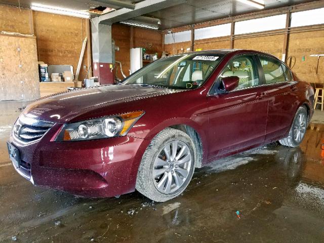 1HGCP2F87CA089485 - 2012 HONDA ACCORD EXL BURGUNDY photo 2