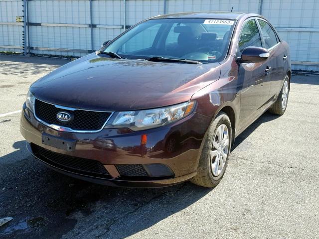 KNAFU4A23A5065660 - 2010 KIA FORTE EX BROWN photo 2