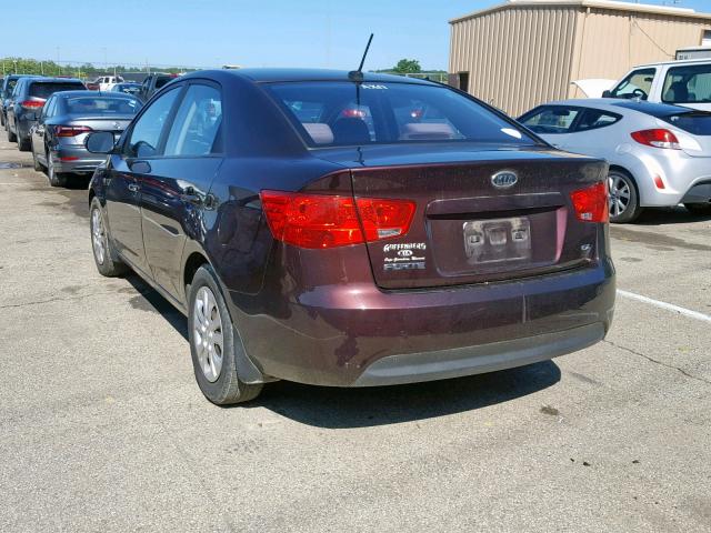 KNAFU4A23A5065660 - 2010 KIA FORTE EX BROWN photo 3