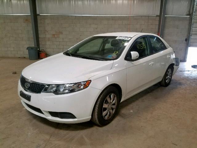 KNAFU4A29D5740027 - 2013 KIA FORTE EX WHITE photo 2