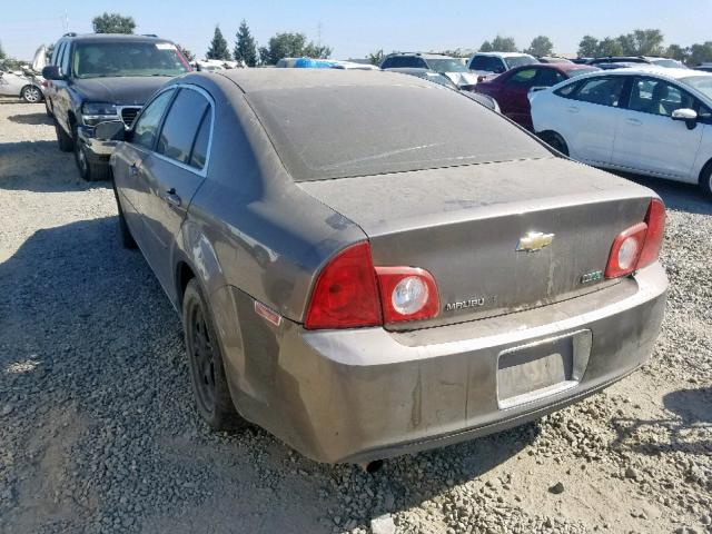 1G1ZC5E00AF310175 - 2010 CHEVROLET MALIBU 1LT 棕色 照片 3