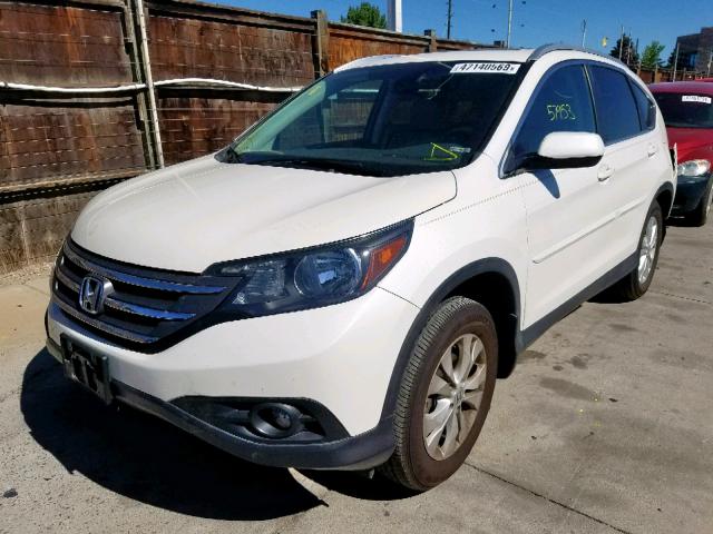 5J6RM4H72EL026328 - 2014 HONDA CR-V EXL WHITE photo 2