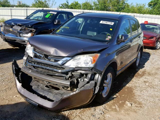 5J6RE4H79BL111787 - 2011 HONDA CR-V EXL BROWN photo 2