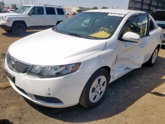 KNAFU4A2XB5423919 - 2011 KIA FORTE EX WHITE photo 2