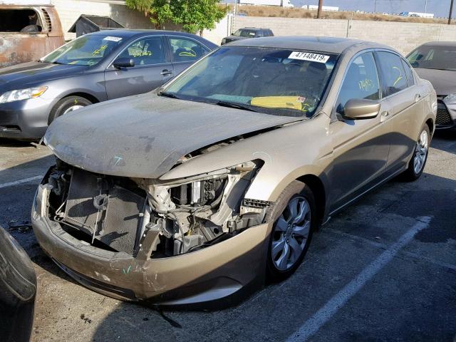 JHMCP26829C003512 - 2009 HONDA ACCORD EXL GOLD photo 2