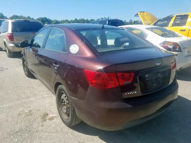 KNAFU4A23A5112816 - 2010 KIA FORTE EX PURPLE photo 3