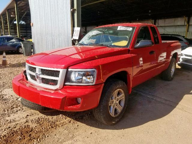 1D7RE3BK0BS695859 - 2011 DODGE DAKOTA SLT RED photo 2