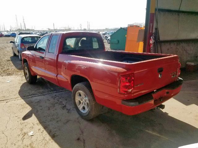 1D7RE3BK0BS695859 - 2011 DODGE DAKOTA SLT RED photo 3