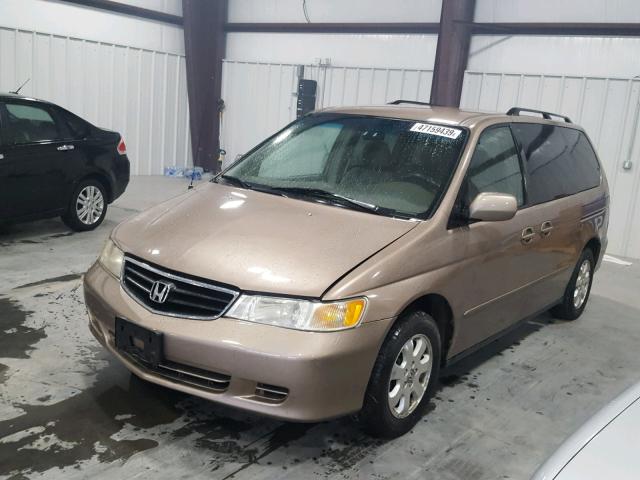 5FNRL18693B054254 - 2003 HONDA ODYSSEY EX GOLD photo 2