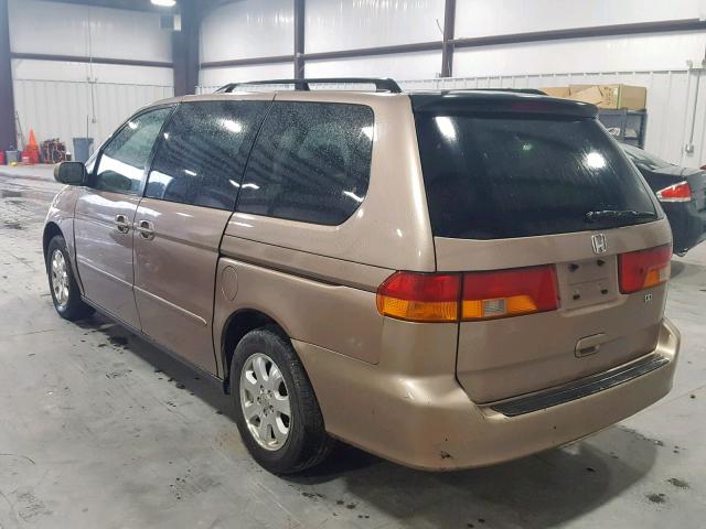 5FNRL18693B054254 - 2003 HONDA ODYSSEY EX GOLD photo 3