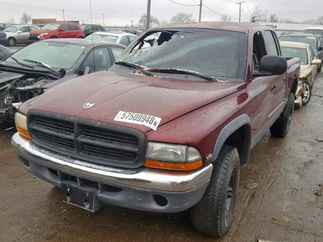 1B7GG2AN4YS661806 - 2000 DODGE DAKOTA QUA BURGUNDY photo 2