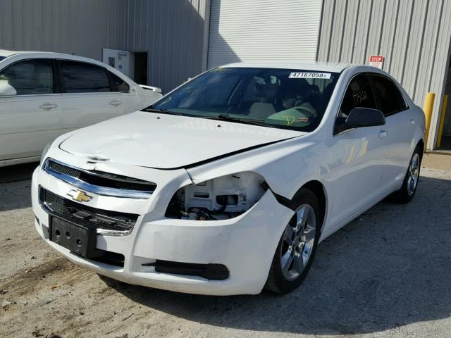 1G1ZA5EU2CF236964 - 2012 CHEVROLET MALIBU LS 白色 照片 2