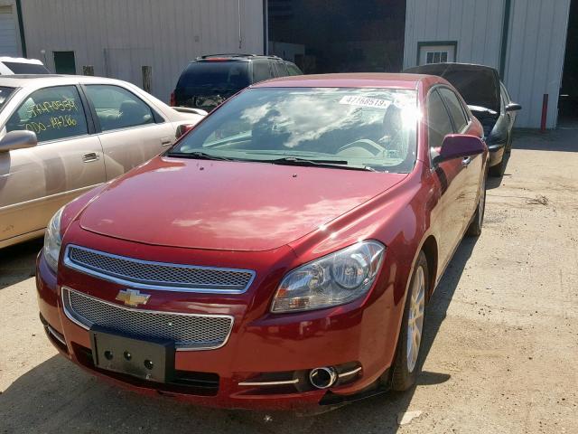1G1ZK57B89F161446 - 2009 CHEVROLET MALIBU LTZ წითელი ფოტო 2