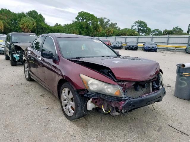 1HGCP36819A051653 - 2009 HONDA ACCORD EXL BURGUNDY photo 1