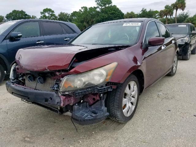 1HGCP36819A051653 - 2009 HONDA ACCORD EXL BURGUNDY photo 2