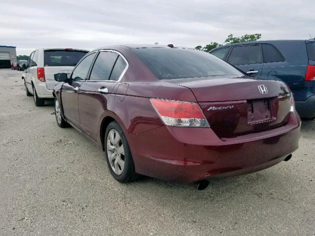 1HGCP36819A051653 - 2009 HONDA ACCORD EXL BURGUNDY photo 3