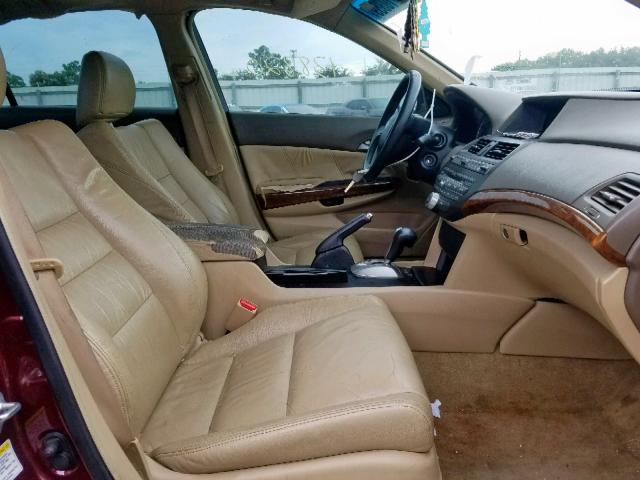 1HGCP36819A051653 - 2009 HONDA ACCORD EXL BURGUNDY photo 5