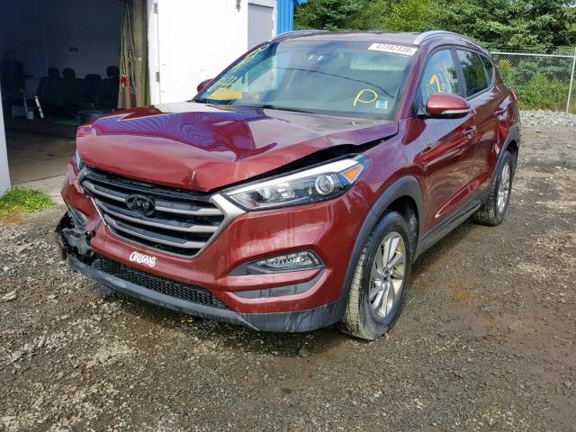 KM8J3CA45GU148920 - 2016 HYUNDAI TUCSON LIM BURGUNDY photo 2