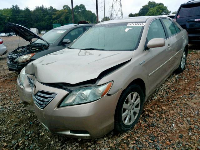 4T1BB46K67U002742 - 2007 TOYOTA CAMRY NEW GOLD photo 2