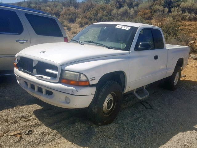 1B7GG22XXWS680681 - 1998 DODGE DAKOTA WHITE photo 2