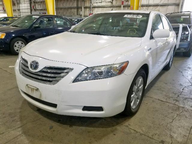 JTNBB46K393049851 - 2009 TOYOTA CAMRY HYBR WHITE photo 2