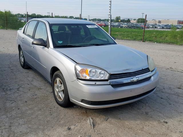 1G1ZT528X5F279064 - 2005 CHEVROLET MALIBU LS SILVER photo 1