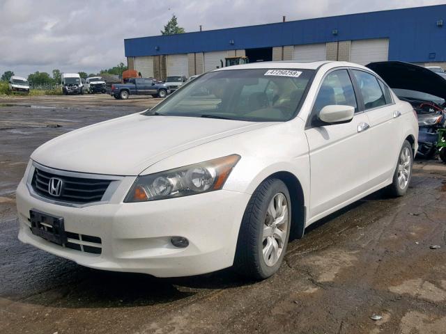 5KBCP3F86AB013833 - 2010 HONDA ACCORD EXL WHITE photo 2