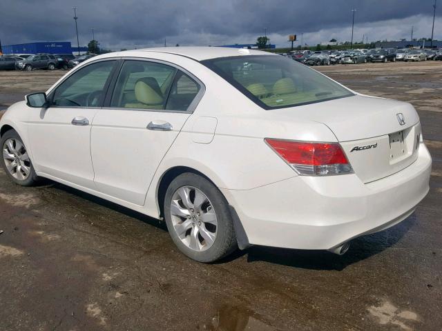 5KBCP3F86AB013833 - 2010 HONDA ACCORD EXL WHITE photo 3