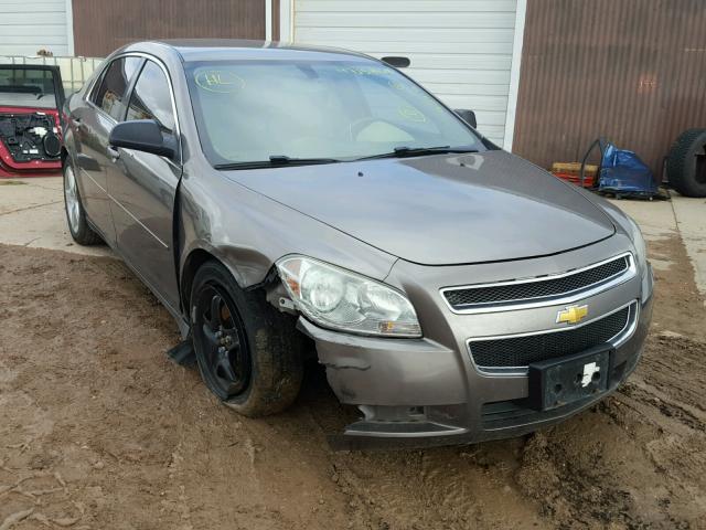1G1ZB5EB3AF261204 - 2010 CHEVROLET MALIBU LS 金色 照片 1