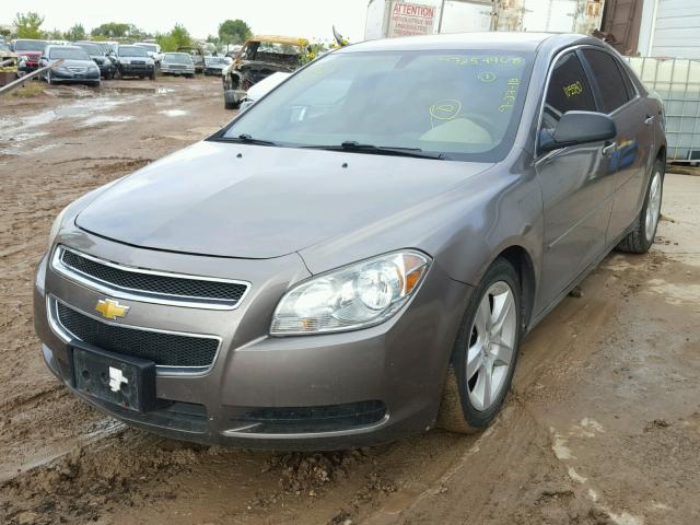 1G1ZB5EB3AF261204 - 2010 CHEVROLET MALIBU LS 金色 照片 2