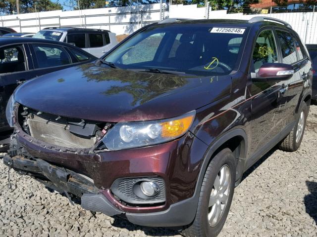 5XYKT3A14BG127310 - 2011 KIA SORENTO BA PURPLE photo 2