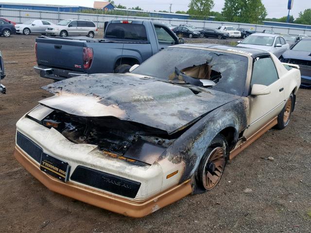 1G2AW87G7EN244098 - 1984 PONTIAC FIREBIRD T TWO TONE photo 2