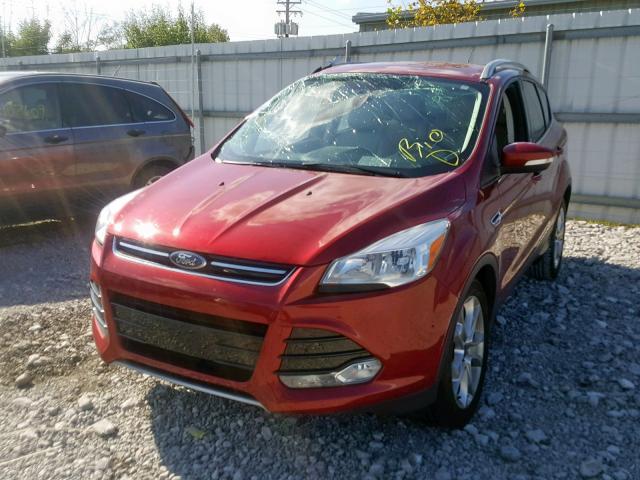 1FMCU0J9XEUA91563 - 2014 FORD ESCAPE TIT RED photo 2