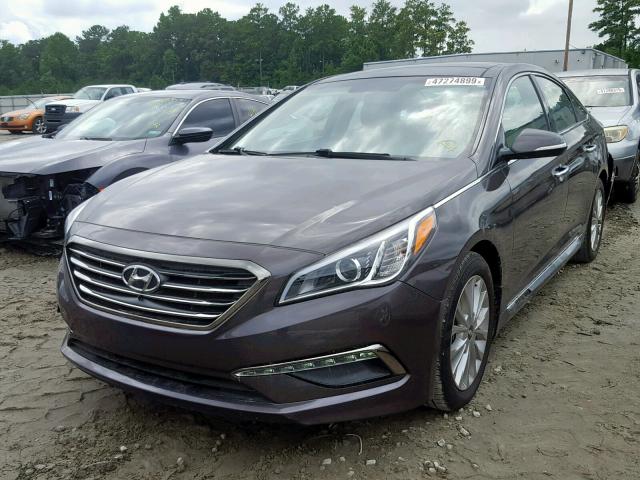 5NPE34AF3FH175992 - 2015 HYUNDAI SONATA SPO BROWN photo 2