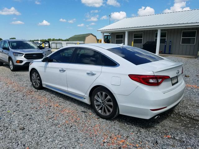 5NPE34AF0GH408342 - 2016 HYUNDAI SONATA SPO WHITE photo 3