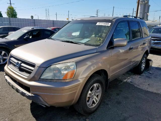 2HKYF18554H563268 - 2004 HONDA PILOT EXL TAN photo 2