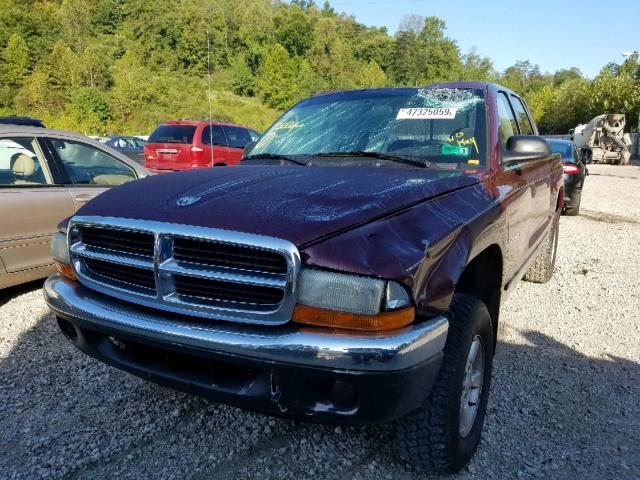 1B7HG48N72S539406 - 2002 DODGE DAKOTA QUA MAROON photo 2