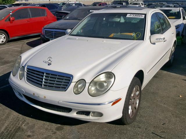 WDBUF65J14A485705 - 2004 MERCEDES-BENZ E 320 WHITE photo 2