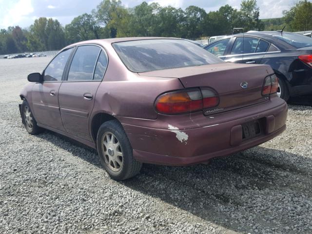1G1NE52MXW6167517 - 1998 CHEVROLET MALIBU LS 勃艮第红 照片 3