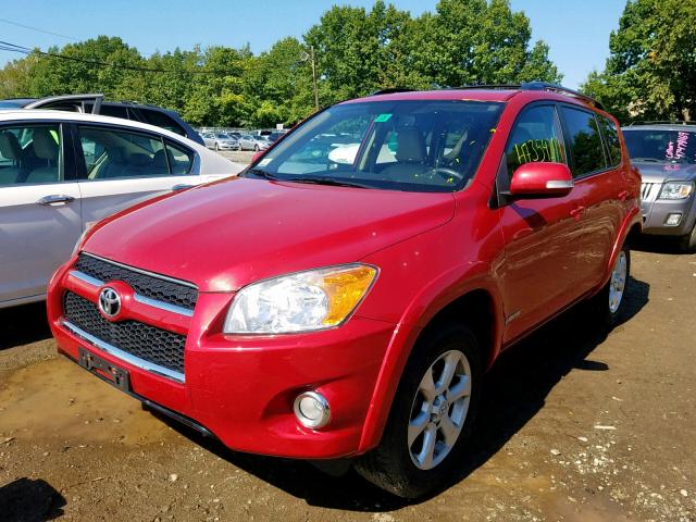 2T3DF4DVXBW124207 - 2011 TOYOTA RAV4 LIMIT RED photo 2