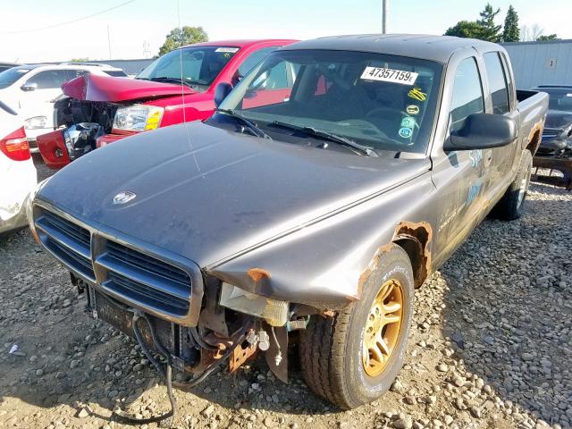 1B7HG38N22S552994 - 2002 DODGE DAKOTA QUA GRAY photo 2