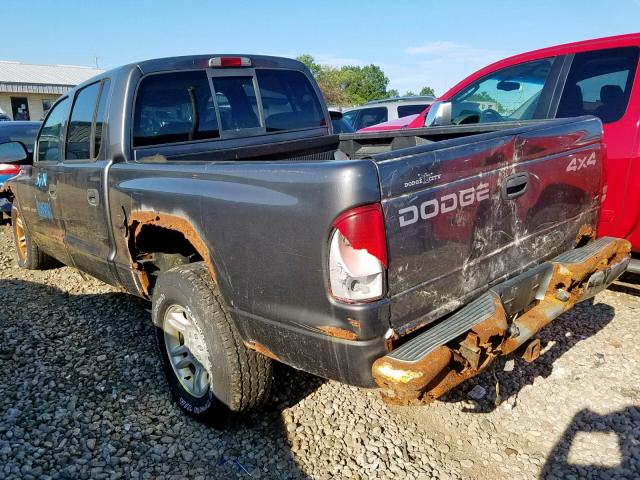 1B7HG38N22S552994 - 2002 DODGE DAKOTA QUA GRAY photo 3