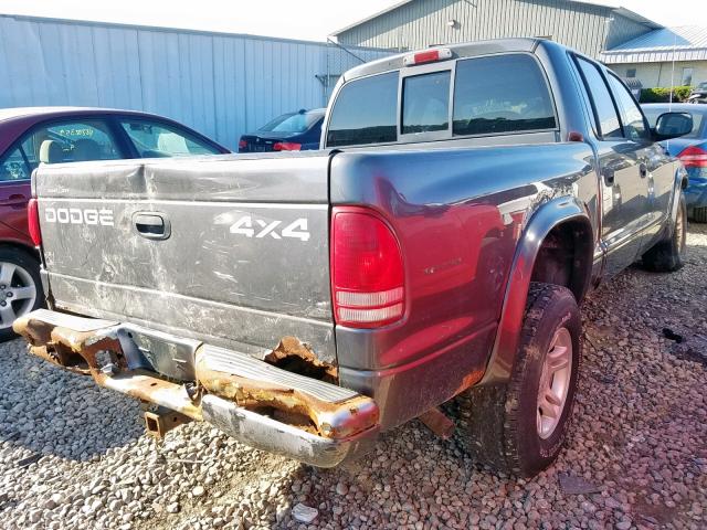 1B7HG38N22S552994 - 2002 DODGE DAKOTA QUA GRAY photo 4